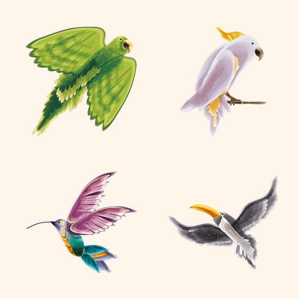 set of watercolor birds vector