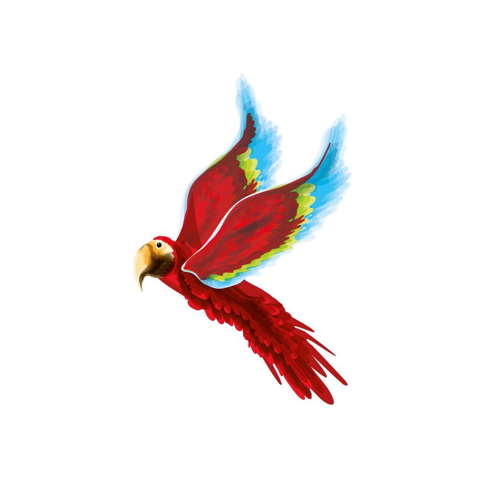 macaw bird watercolor vector