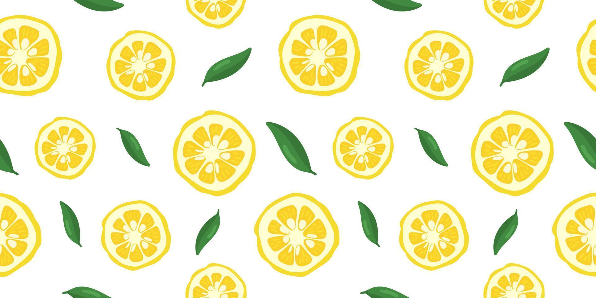 Yuzu japanese citron fruit seamless pattern vector illustration isolated on white background.