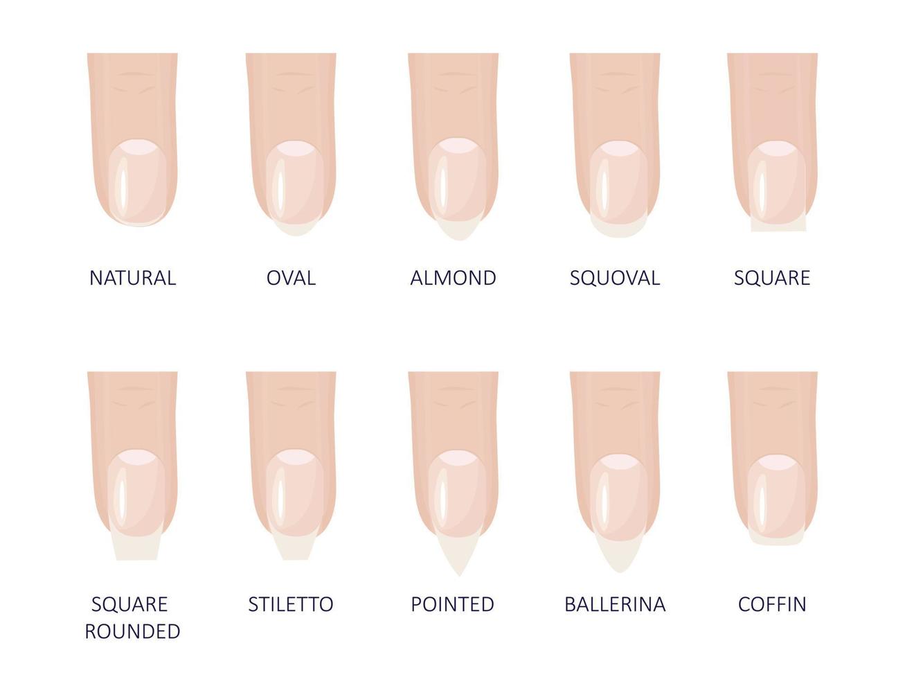 Manicure most popular fashion nail shapes flat style vector illustration set isolated light blue background.