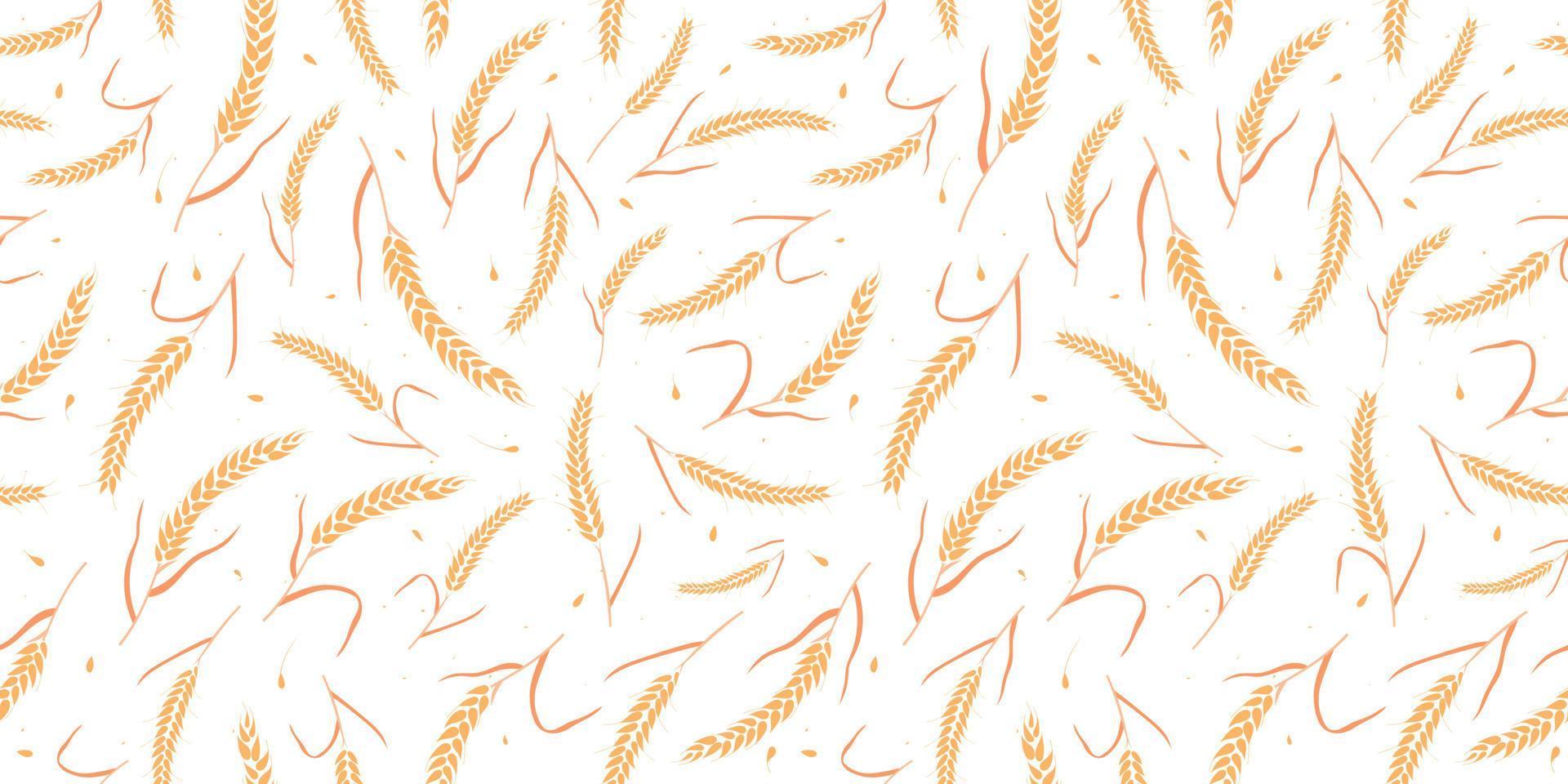 Seamless pattern with whole grain seeds organic, natural ears isolated on white background. vector