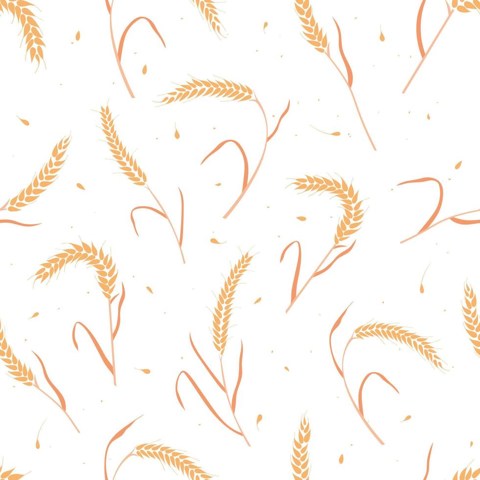 Seamless pattern with whole grain seeds organic, natural ears isolated on white background. vector