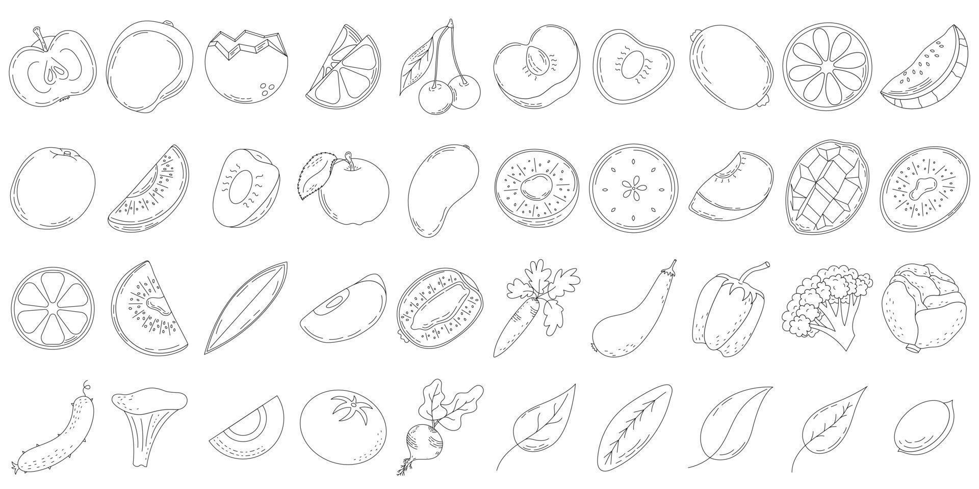 un conjunto de frutas y verduras de línea, rodajas y mitades de frutas, hojas y huesos. iconos de línea vector