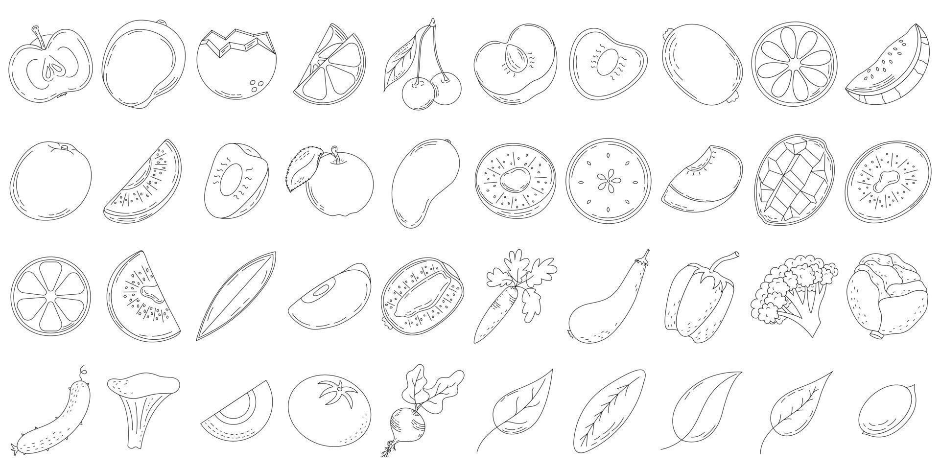 A set of line fruits and vegetables, slices and halves of fruit, leaves and bones. line icons. vector