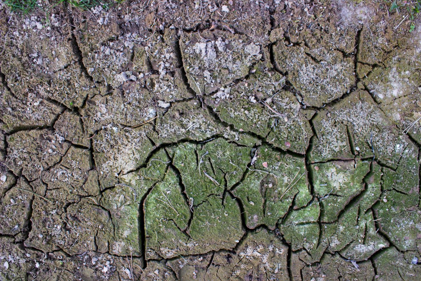 Cracked earth texture. Drought, dirt, barren soil, impassability. Trace of a car tire in the corner photo