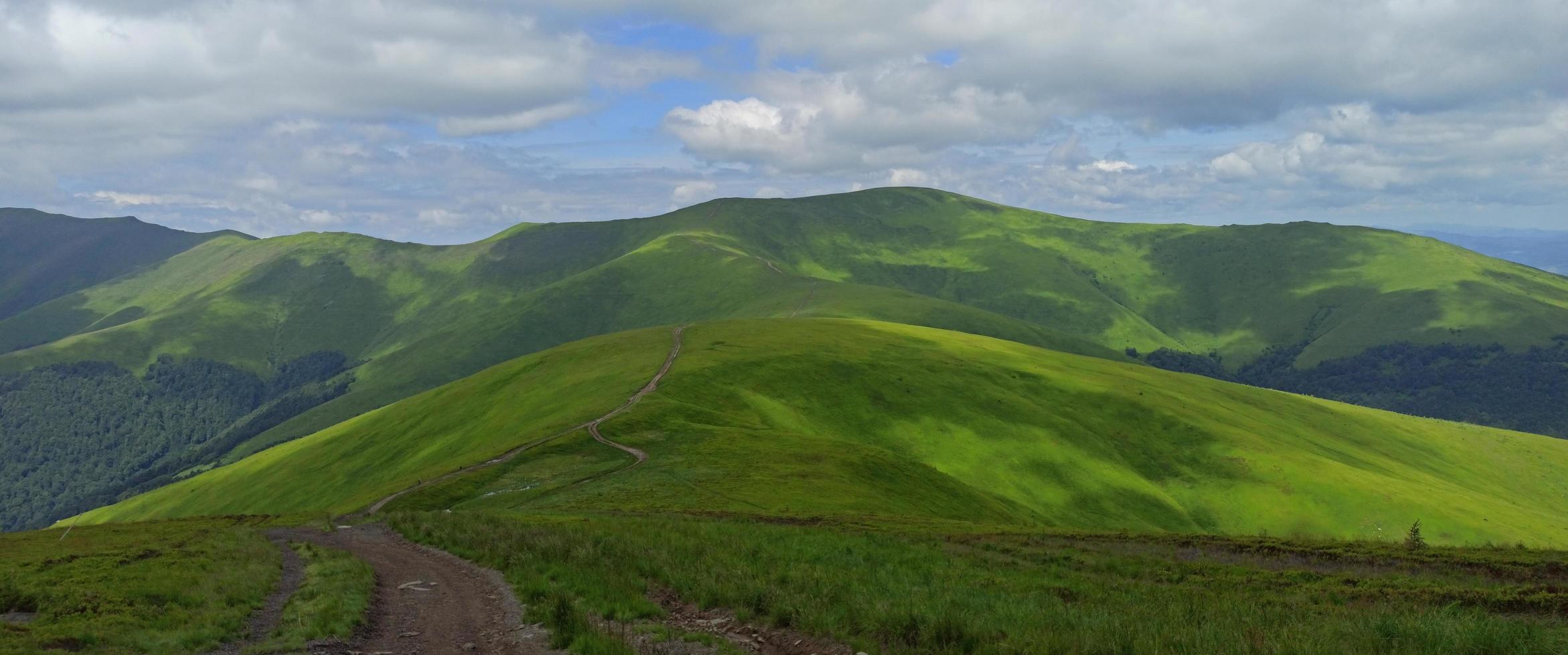 Mountain landscape. Colorful summer landscape in the Carpathian mountains. book cover. photo