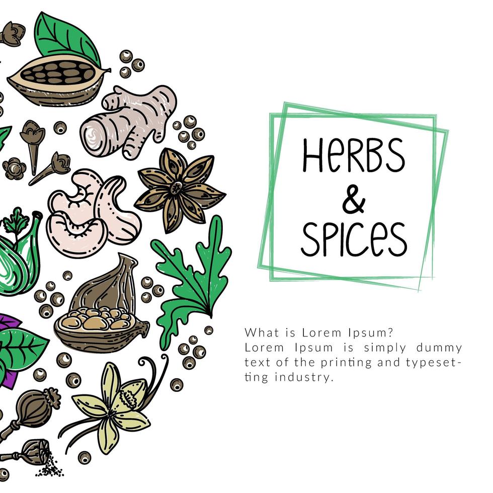 Herb and spice package design template, drawn element in style. Cooking. Herbs and spices, nuts and roots. Logo in a trendy linear style. vector
