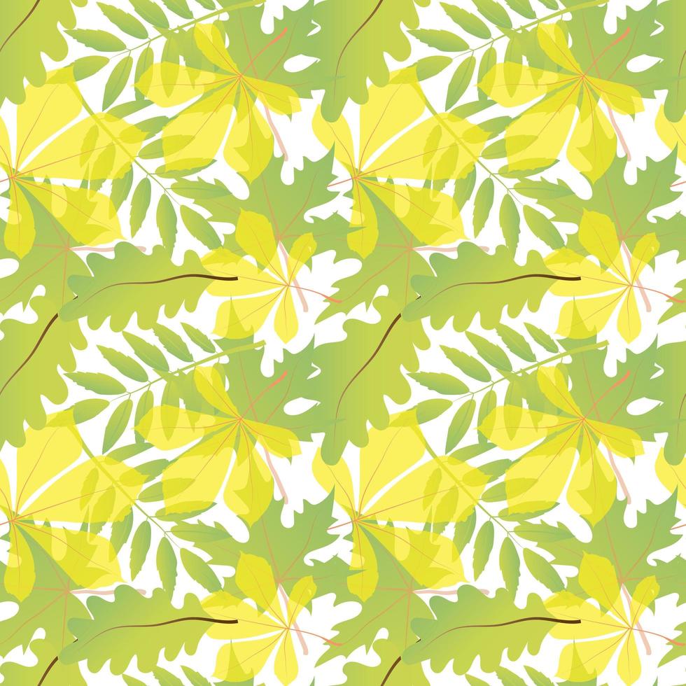 Seamless pattern on a white background. Autumn bright leaves. Maple, oak leaves. Vector in flat style. Suitable for textiles and packaging.