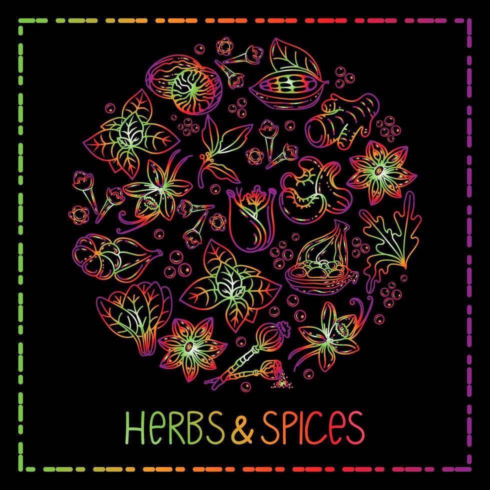Hand-drawn herbs and spices in a doodle style. Elements in a circle on a black background. Rainbow. Handwritten lettering. Nuts, spices and herbs. Pepper peas. Flat style vector. vector