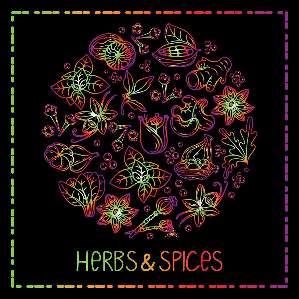 Hand-drawn herbs and spices in a doodle style. Elements in a circle on a black background. Rainbow. Handwritten lettering. Nuts, spices and herbs. Pepper peas. Flat style vector. vector