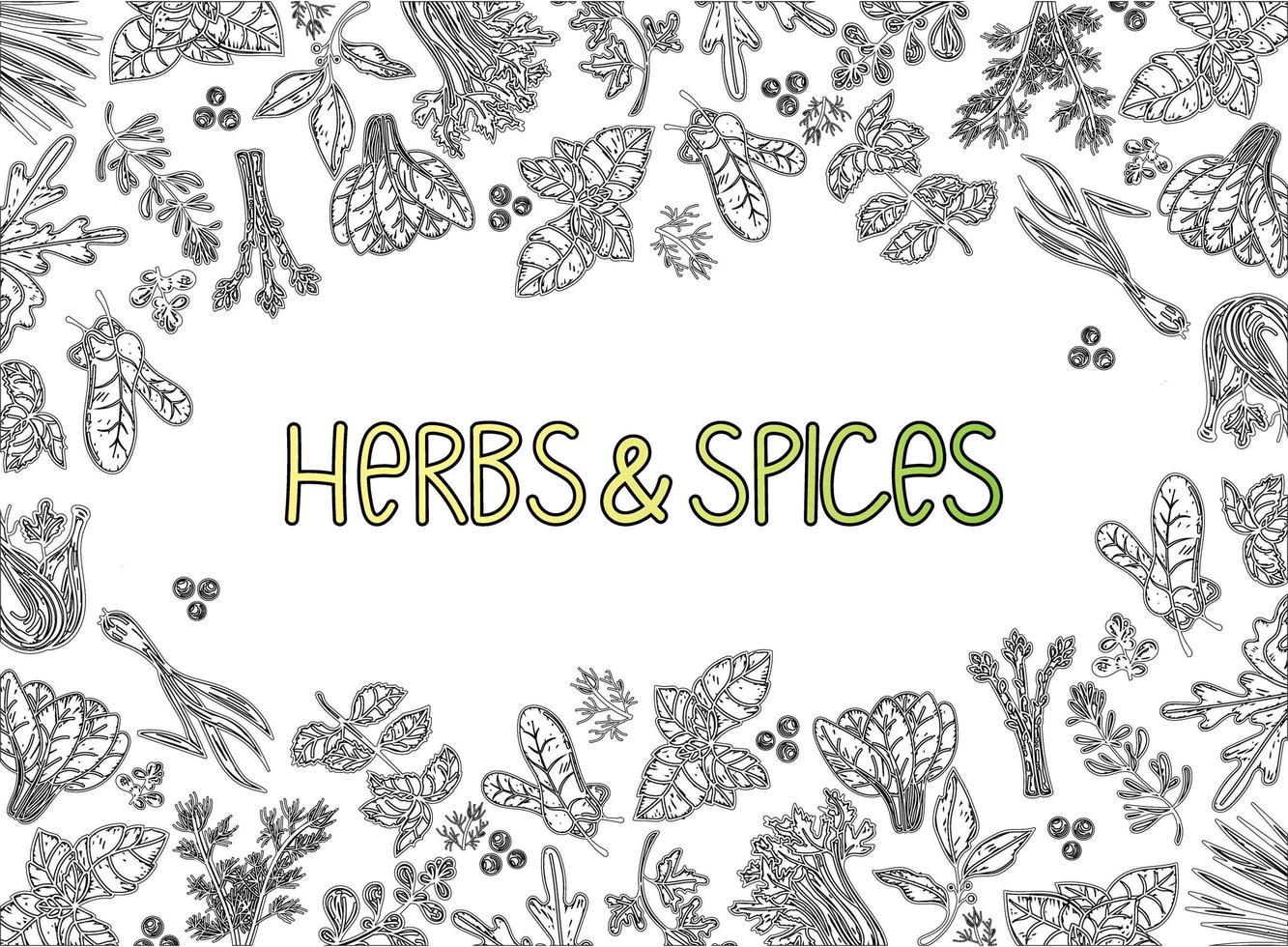 Packaging Layout. Herbs and spices, hand-drawn vector illustrations. Hand-drawn food sketch. Silhouettes of aromatic plants. Postcard design. Sketch style.