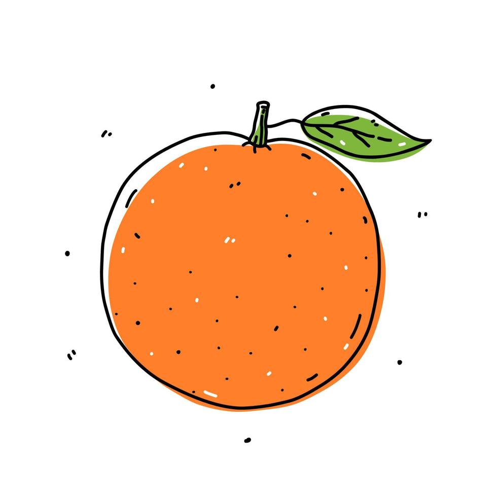 Orange fruit isolated on white background. Fresh citrus. Vector hand-drawn illustration in doodle style. Perfect for cards, logo, decorations, recipes, various designs.