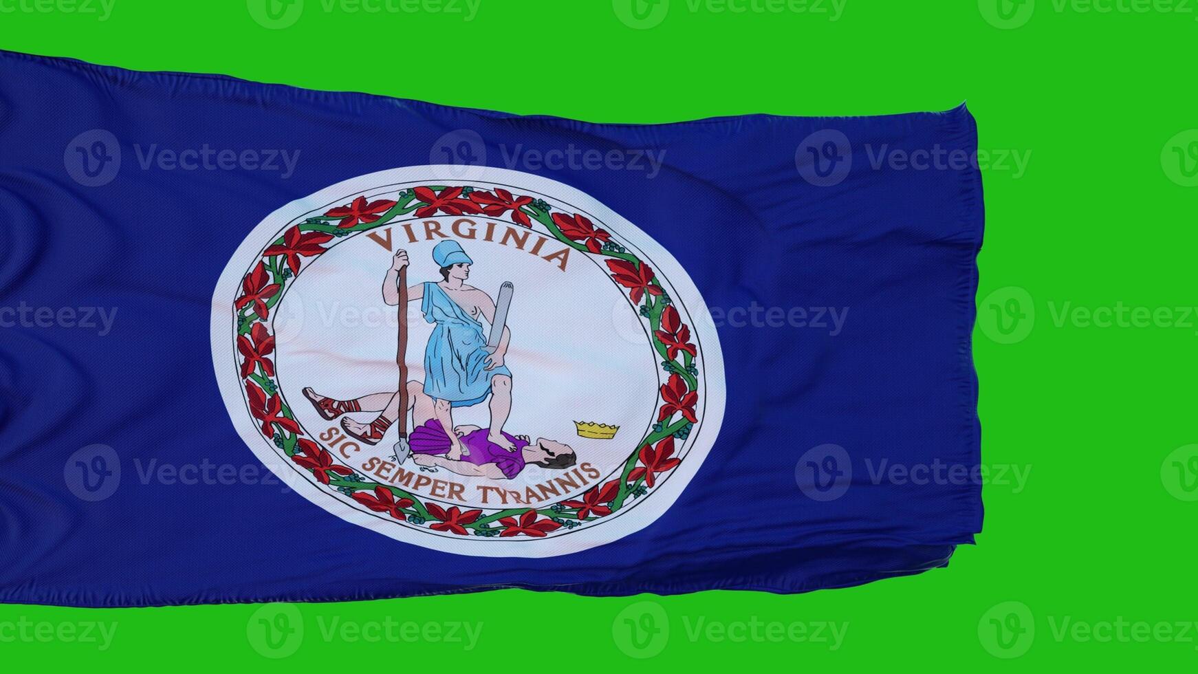 bandera de virginia en pantalla verde. perfecto para su propio fondo con pantalla verde. representación 3d foto