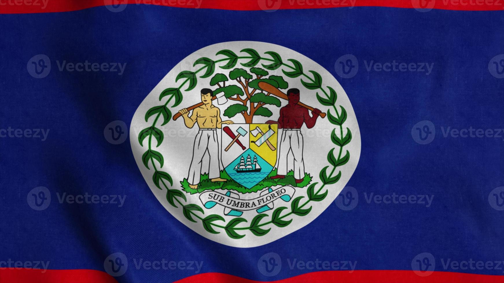 Belize flag waving in the wind. 3d illustration photo