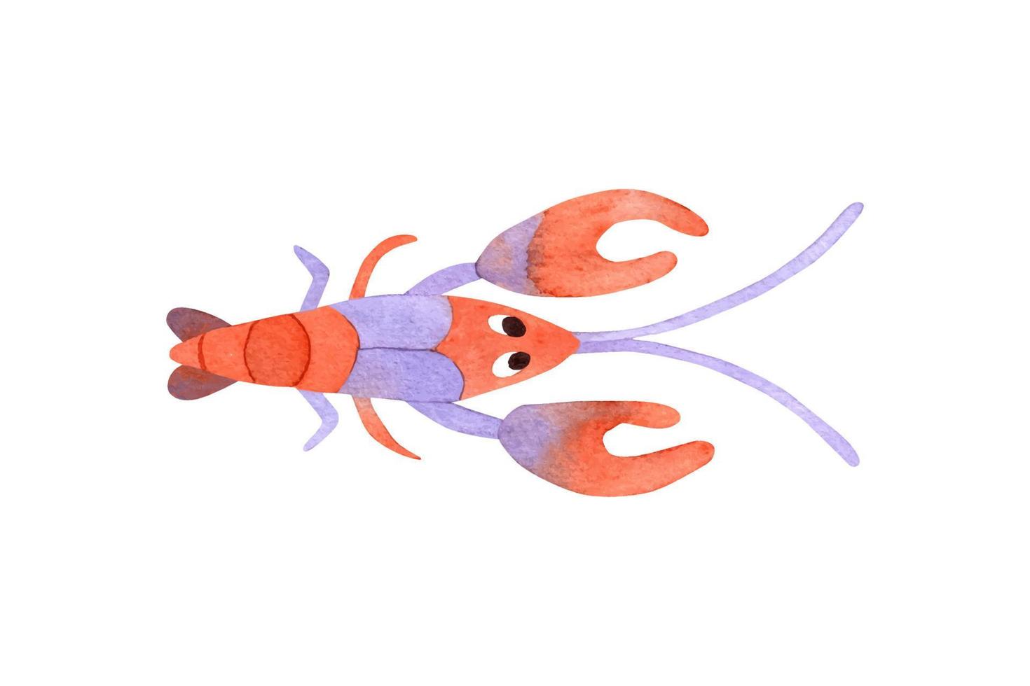 Watecolor cute crawfish isoleted on white background vector