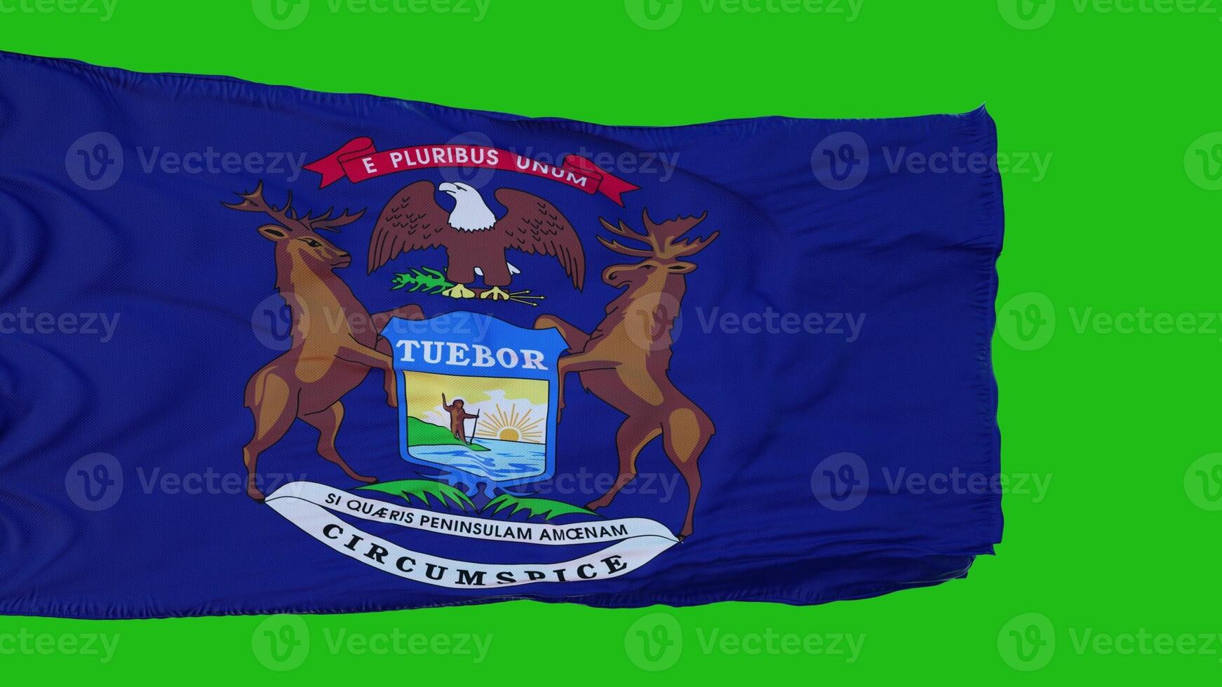 Flag of Michigan on Green Screen. Perfect for your own background using green screen. 3d rendering photo