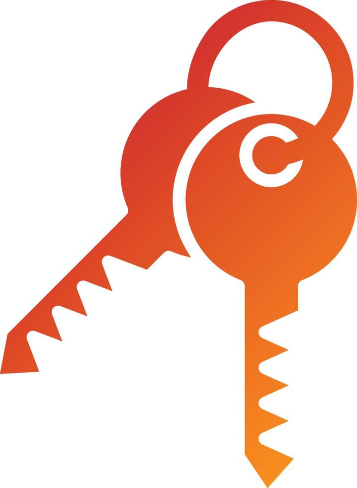 Room Key Icon Style vector