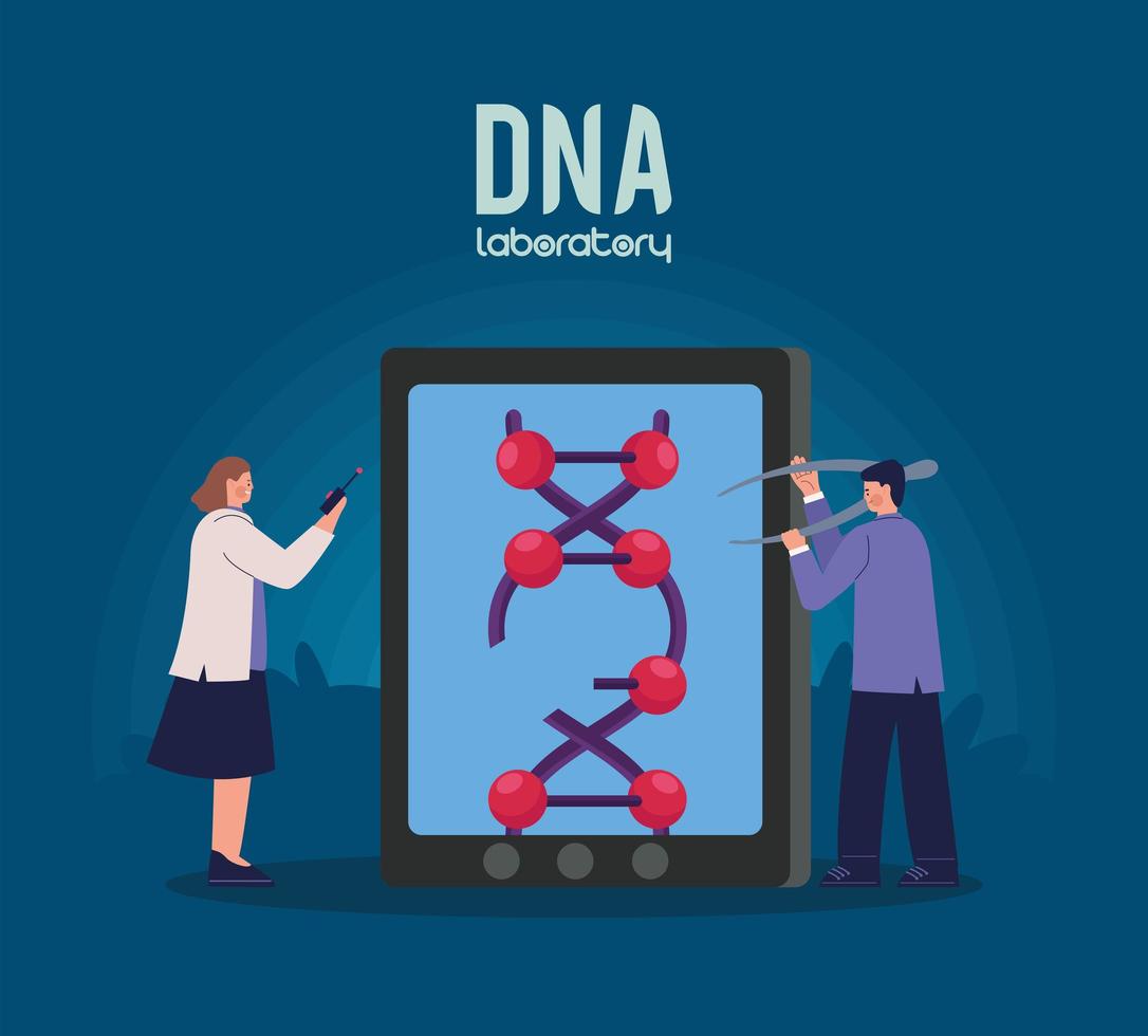 dna laboratory with scientists team vector