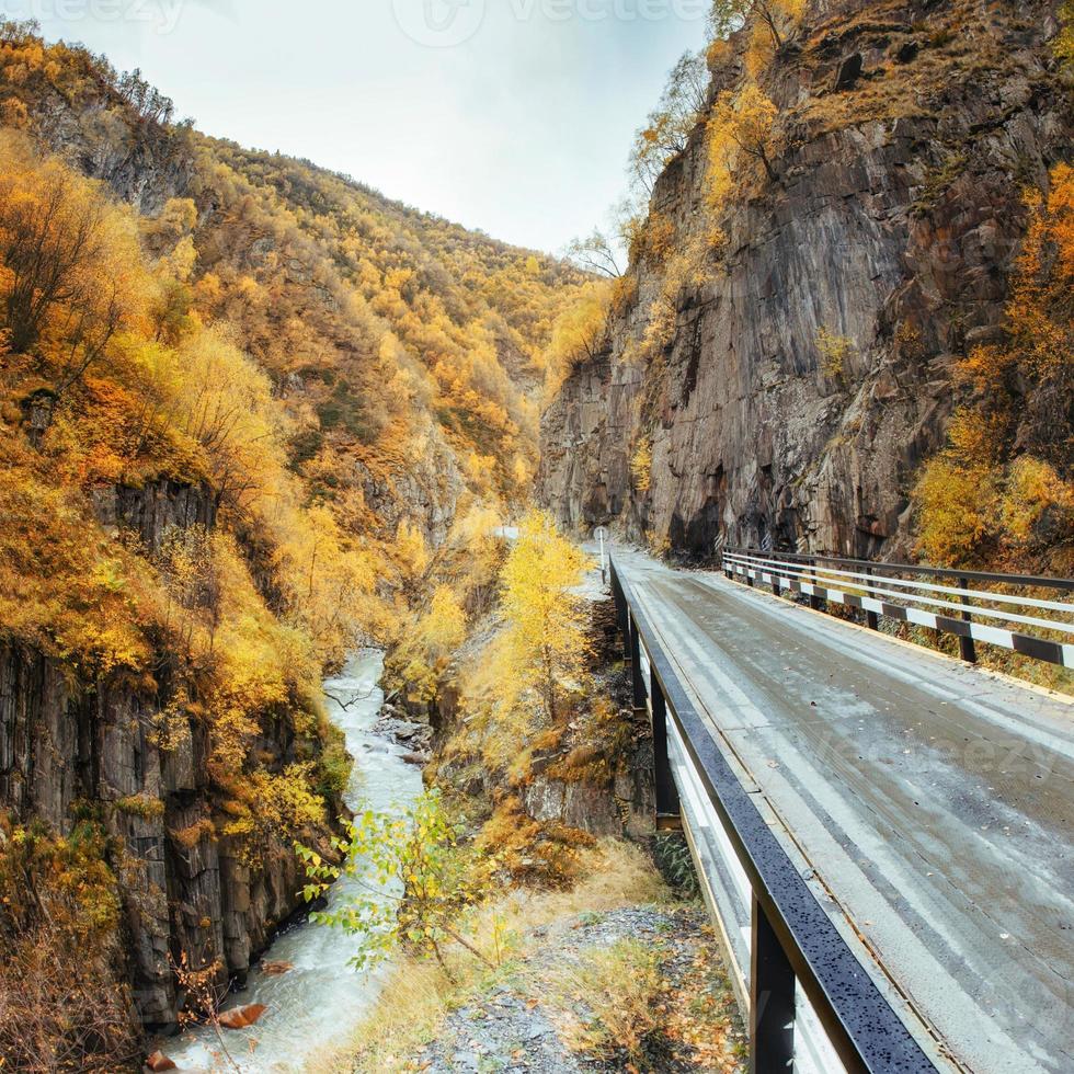 paisaje dorado de otoño entre las montañas rocosas de georgia. camino de piedra Europa foto