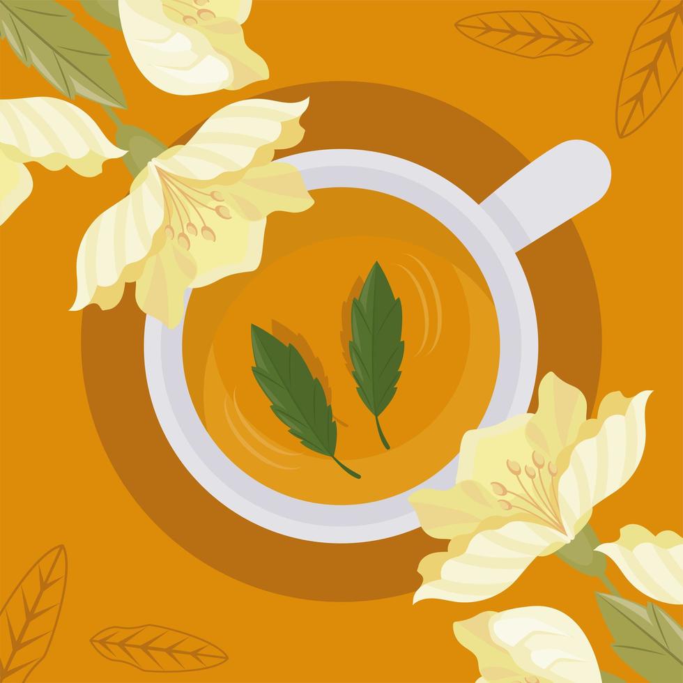 chamomile tea cup airview vector