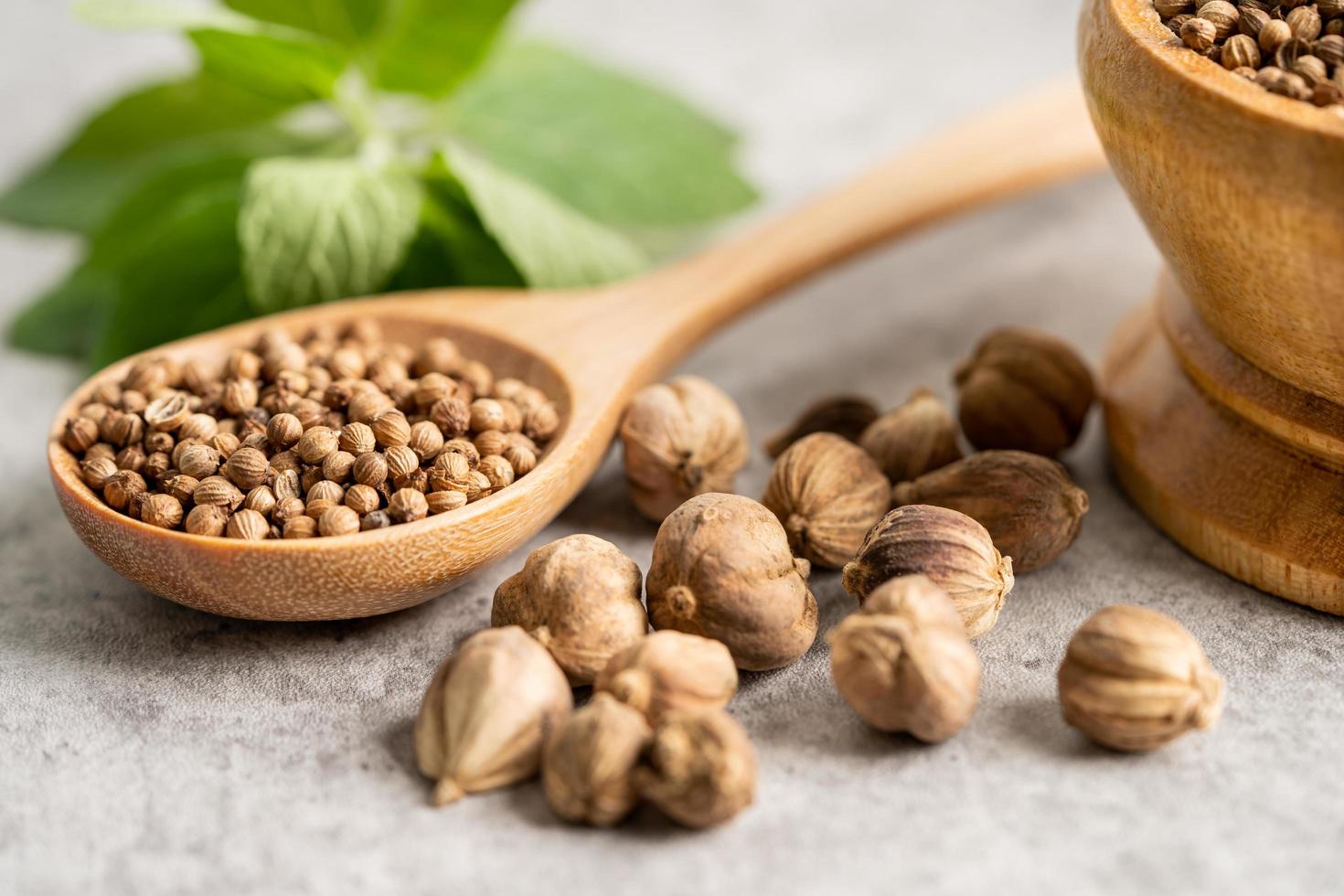 Coriander and siam cardamom Amomum krervanh Pierre, Asia dried spices herb for drug and Thai cooking for good health. photo