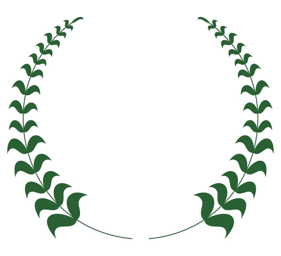 wreath laurel gren leafs vector