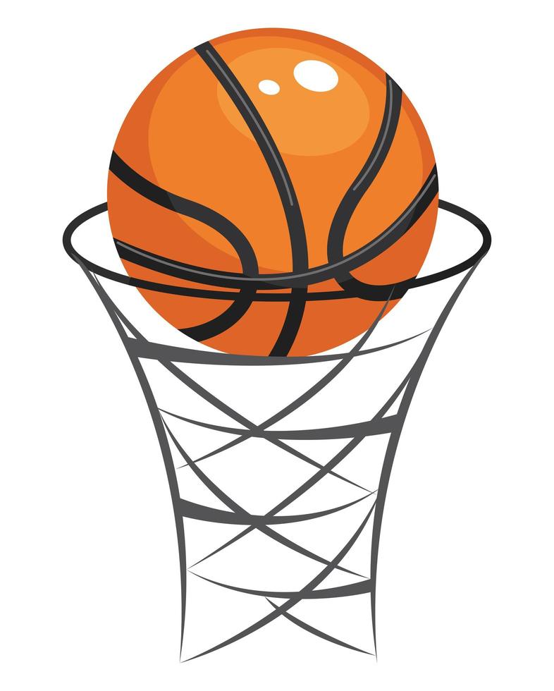 canasta y balon de baloncesto vector