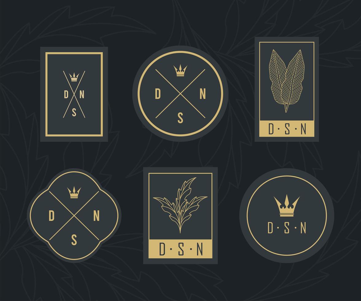 elegant pattern six emblems vector