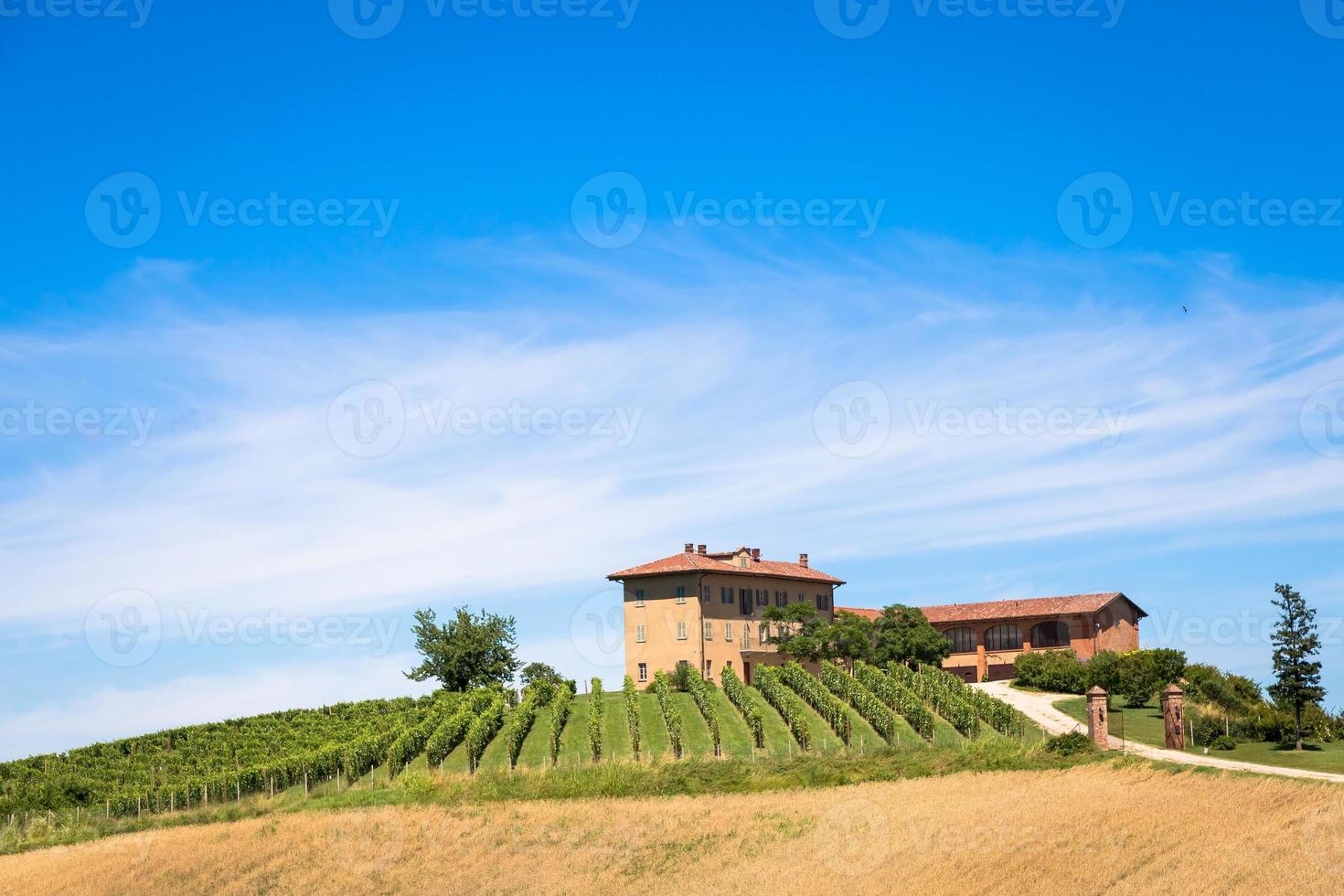 Piedmont hills in Italy with scenic countryside, vineyard field and blue sky photo