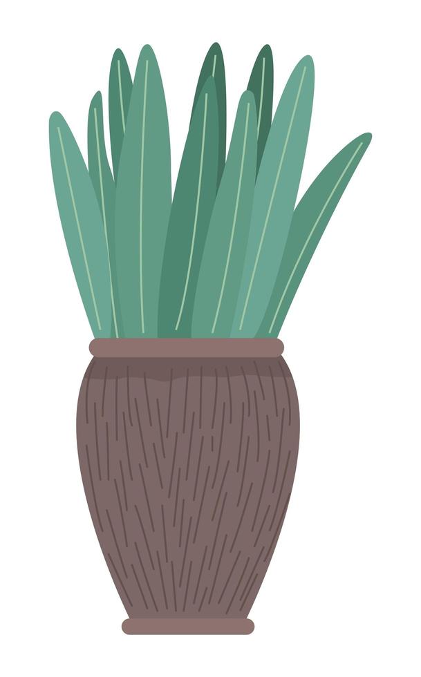 houseplant in clay pot vector