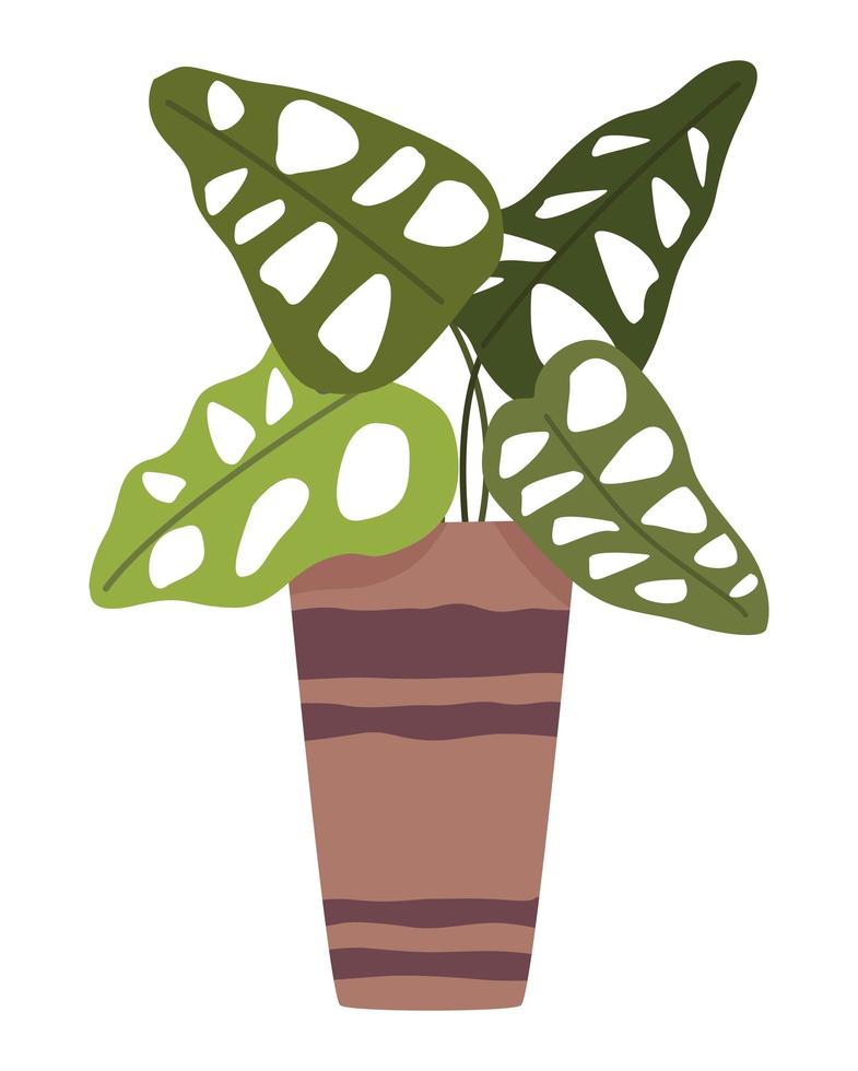 houseplant in long pot vector