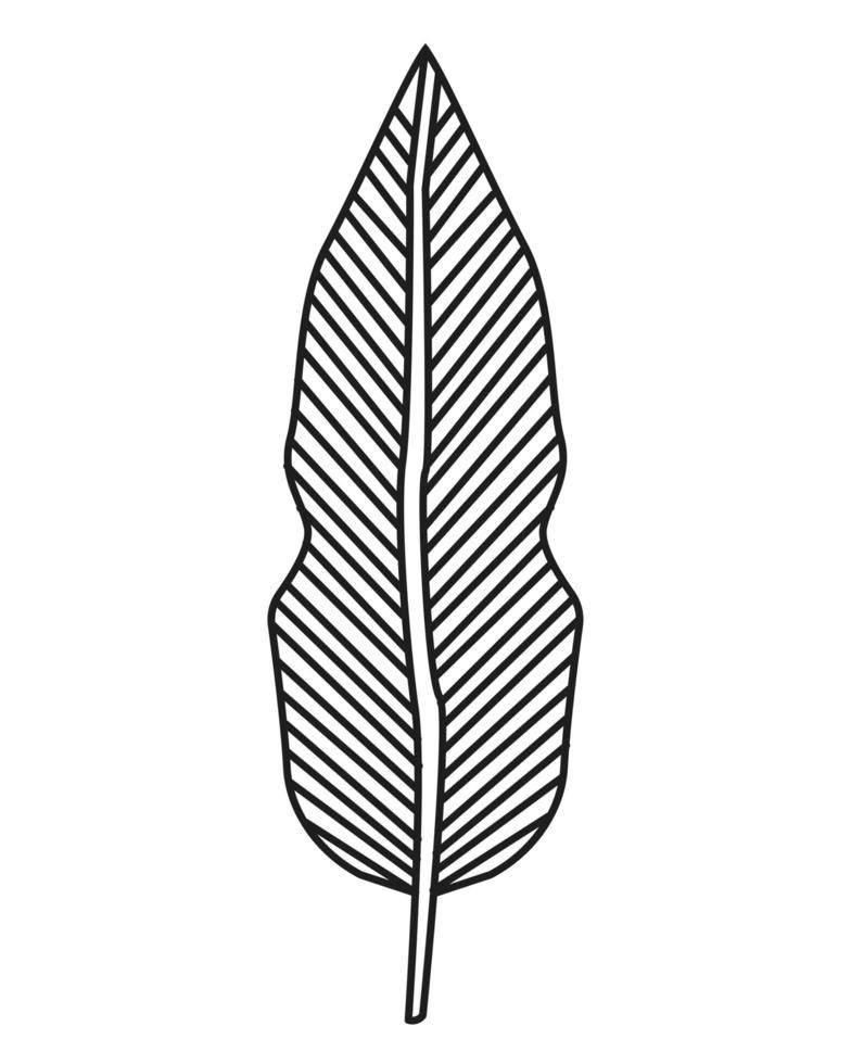 planta de hoja monocromática vector