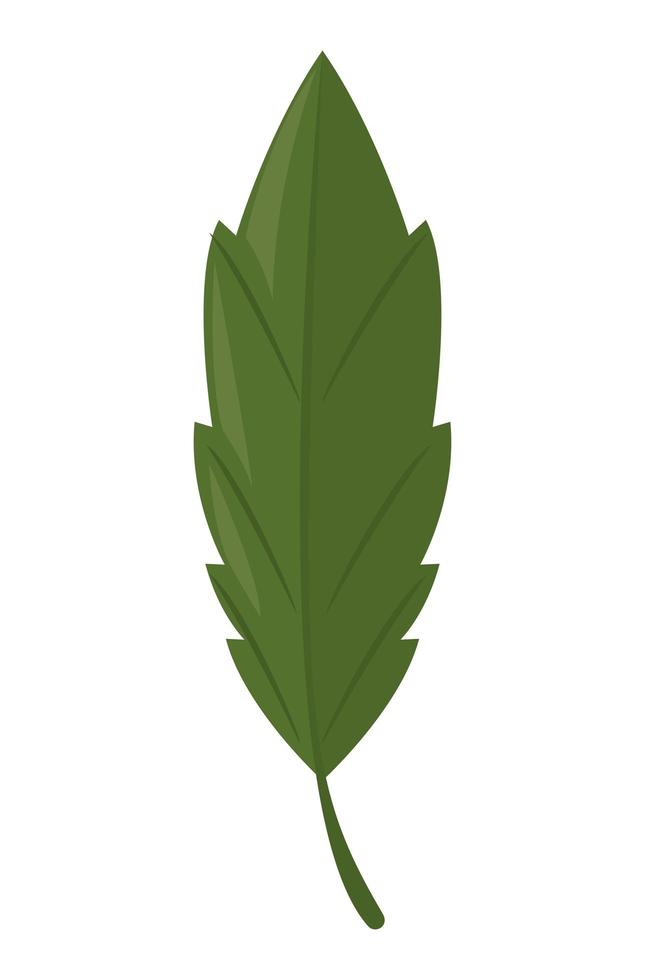 planta de hoja verde vector