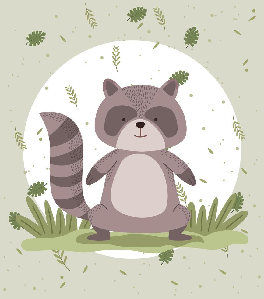 cute raccoon woodland animal vector