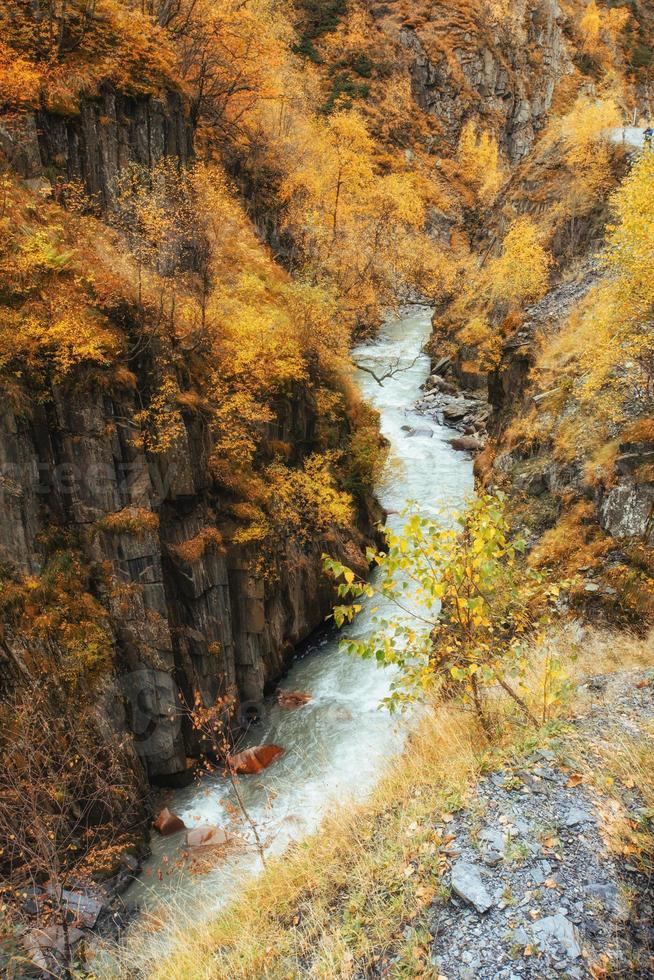 golden autumn landscape between rocky mountains and noisy river in Georgia. Europe photo