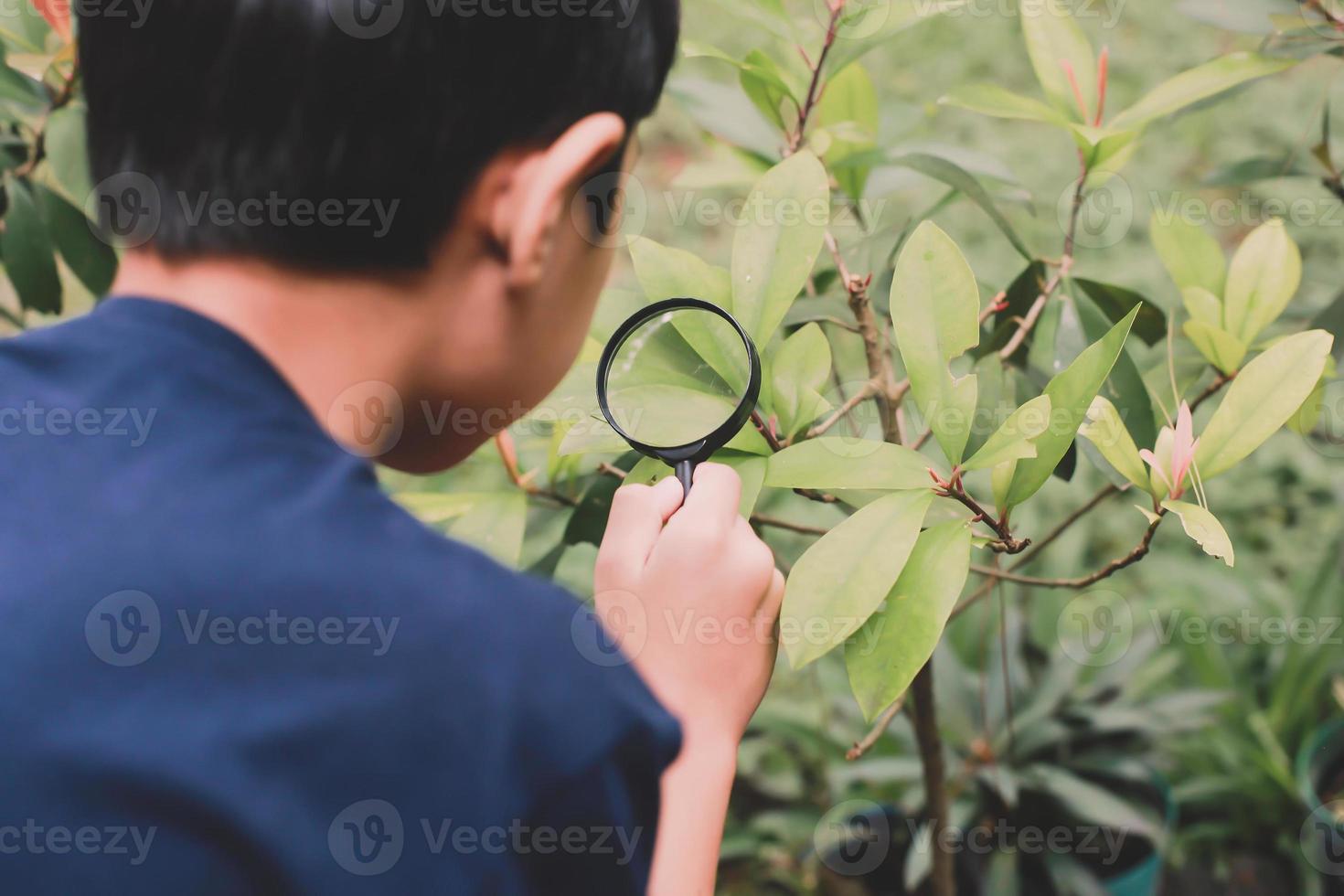Asian school child examining leaves on tree with magnifying glasses photo