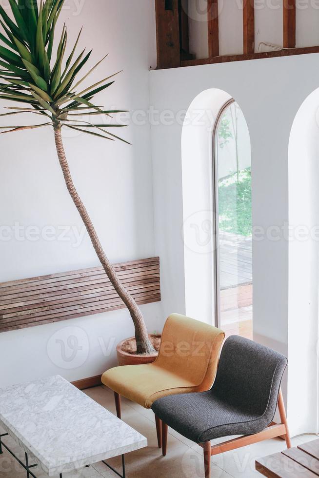 Beautiful plant on corner at minimalist home interior photo