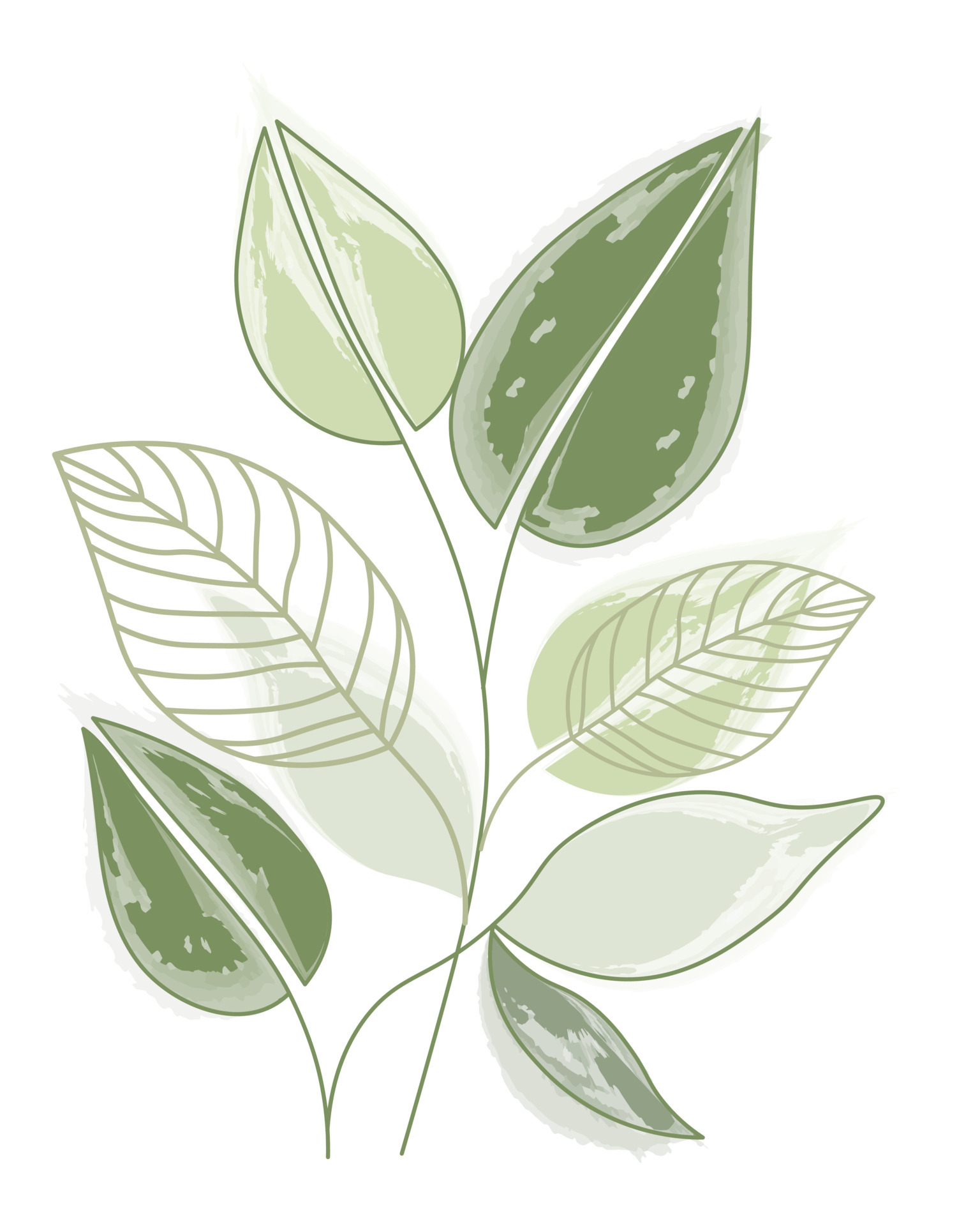 Wall art, delicate green watercolor leaves and contour leaves on a white  background. Line art, poster, postcard 6077844 Vector Art at Vecteezy