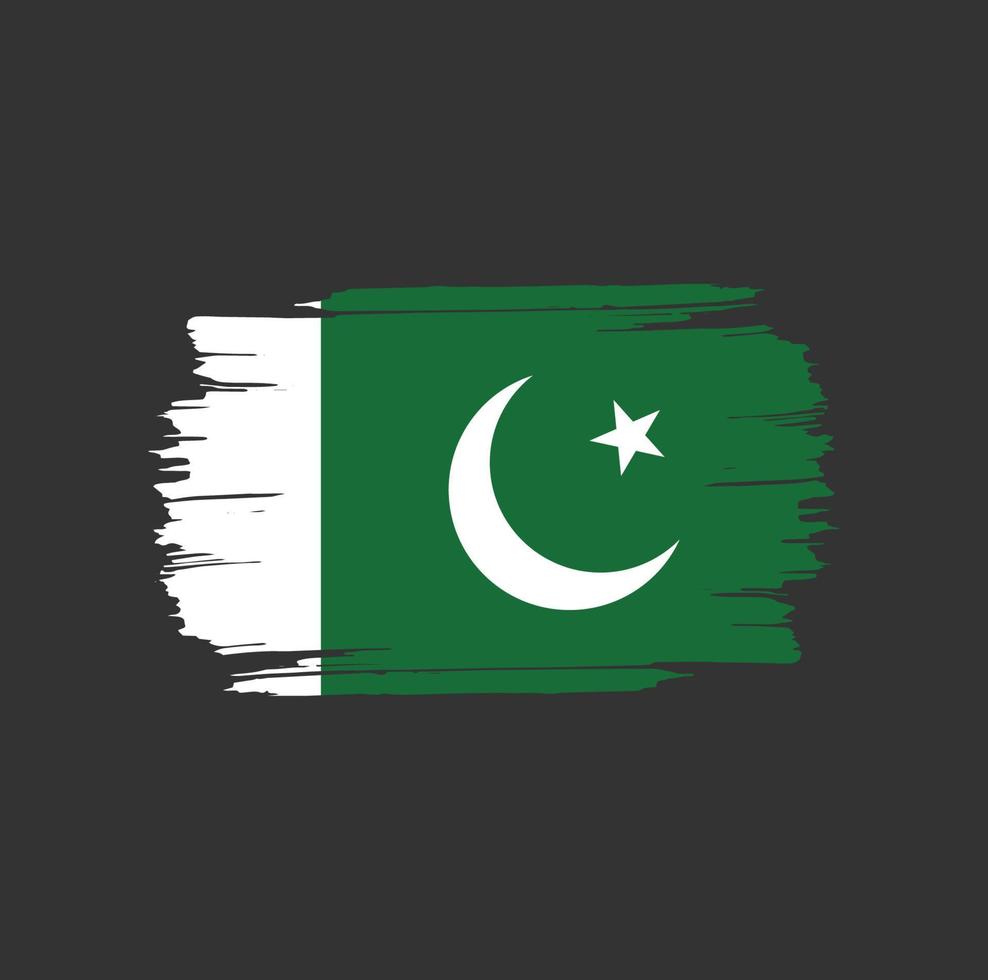 Pakistan Flag Brush Strokes. National Country Flag vector