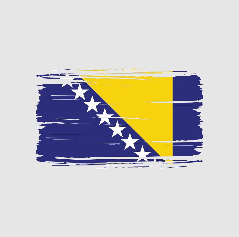 Bosnia Herzegovina flag brush stroke. National flag vector