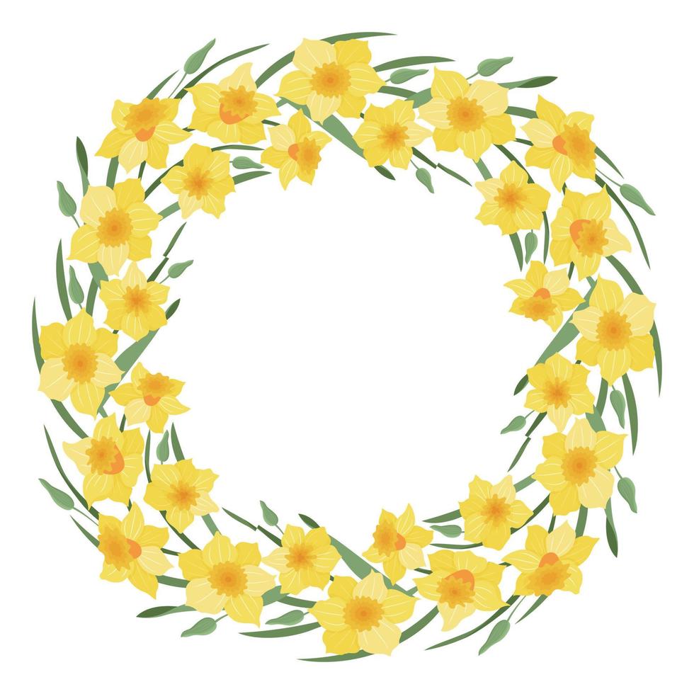 A wreath of narcissus flowers and leaves. Daffodils. Suitable for postcards and invitations. Vector