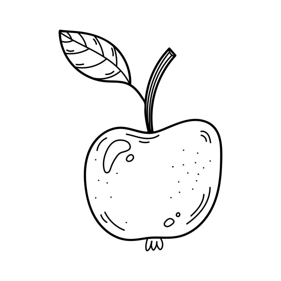 Apple with twig and leaf isolated on white background.  Hand drawn doodle style vector