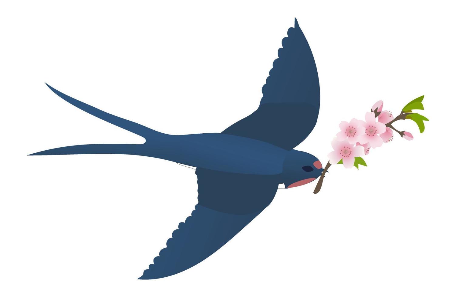 Flying swallow with a sakura branch. Vector cartoon Illustration.