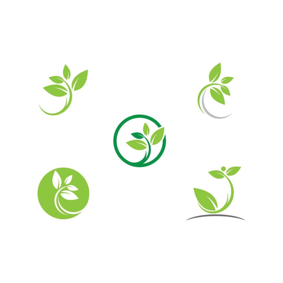 Eco tree leaf vector