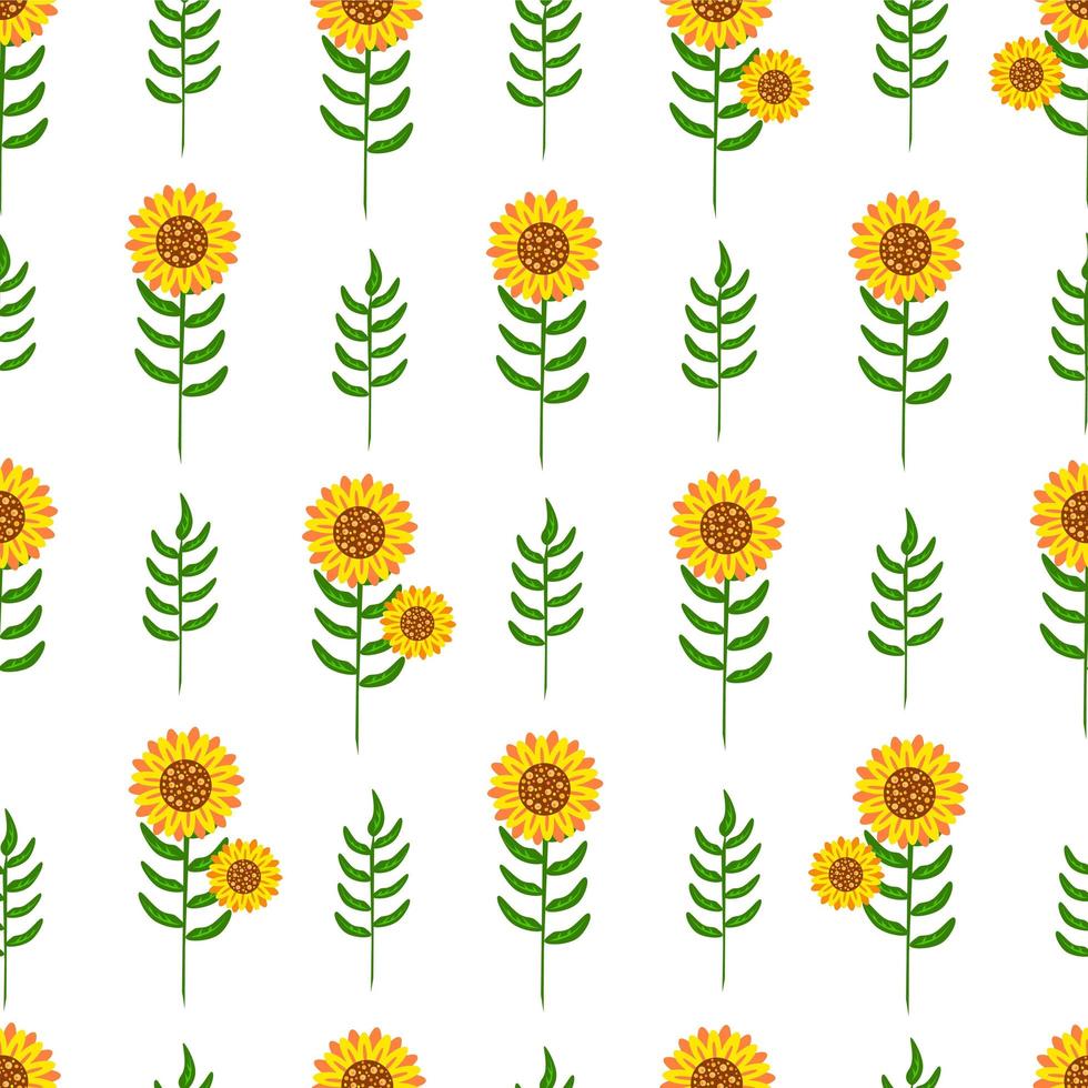 Sunflower seamless pattern, sunflowers grow in the field. Botanical floral Illustration for backgrounds, packaging, greeting cards, textile and seasonal design. Isolated on white background. vector