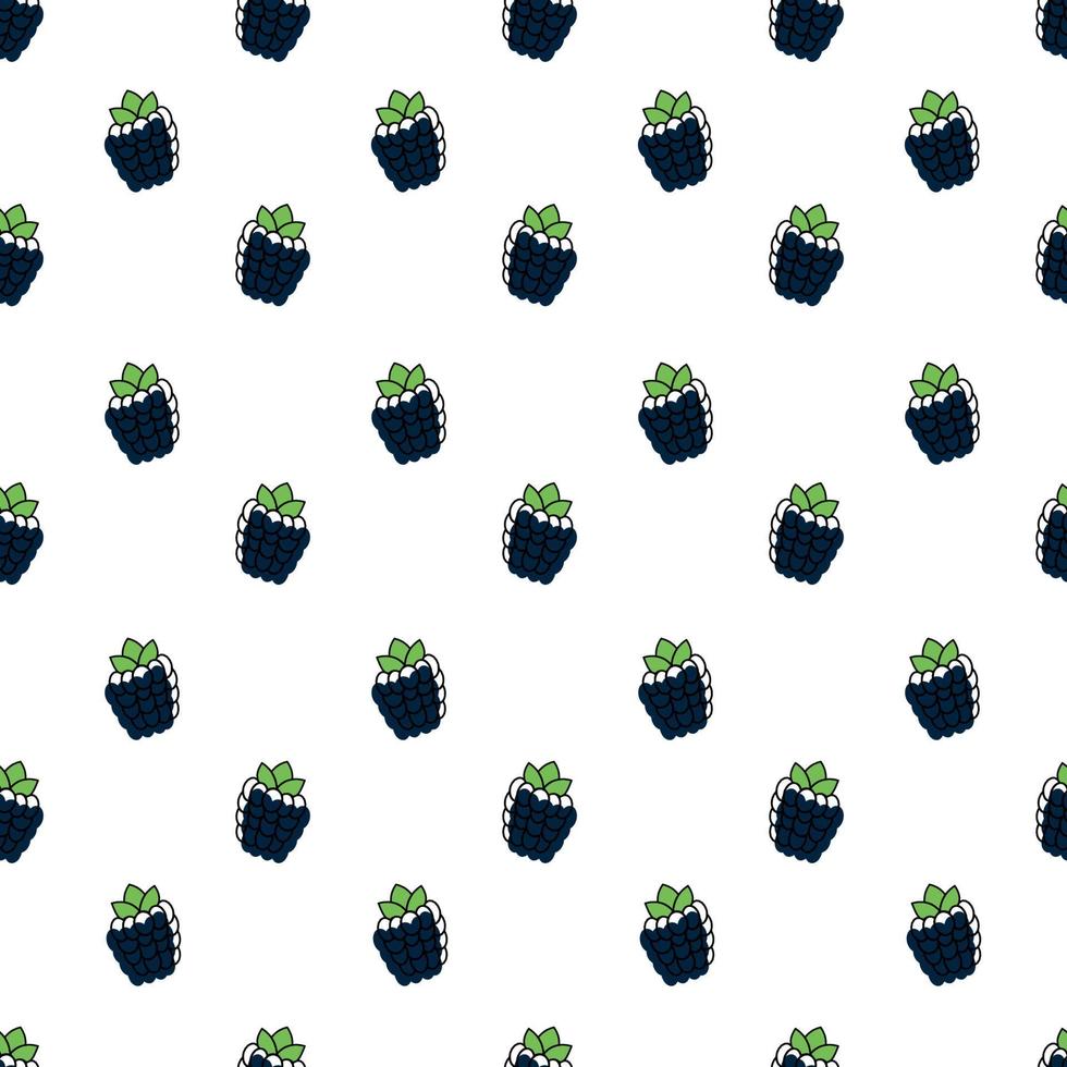 Blackberries seamless pattern. Vector illustration