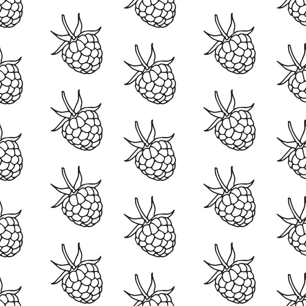 raspberries seamless pattern. Vector illustration
