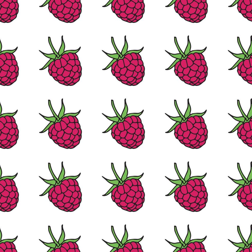 raspberries seamless pattern. Vector illustration