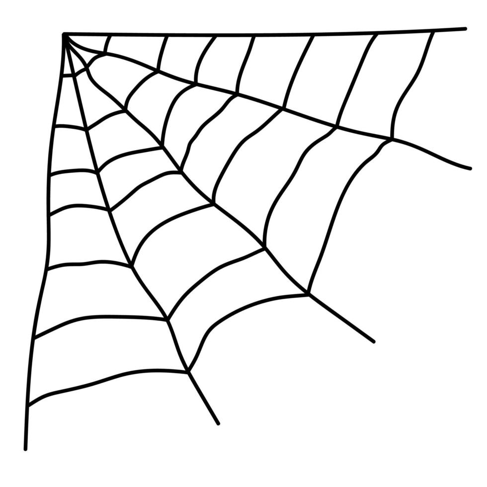 spider web vector
