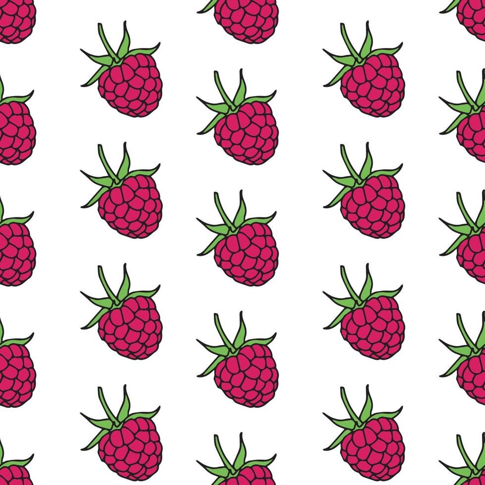raspberries seamless pattern. Vector illustration